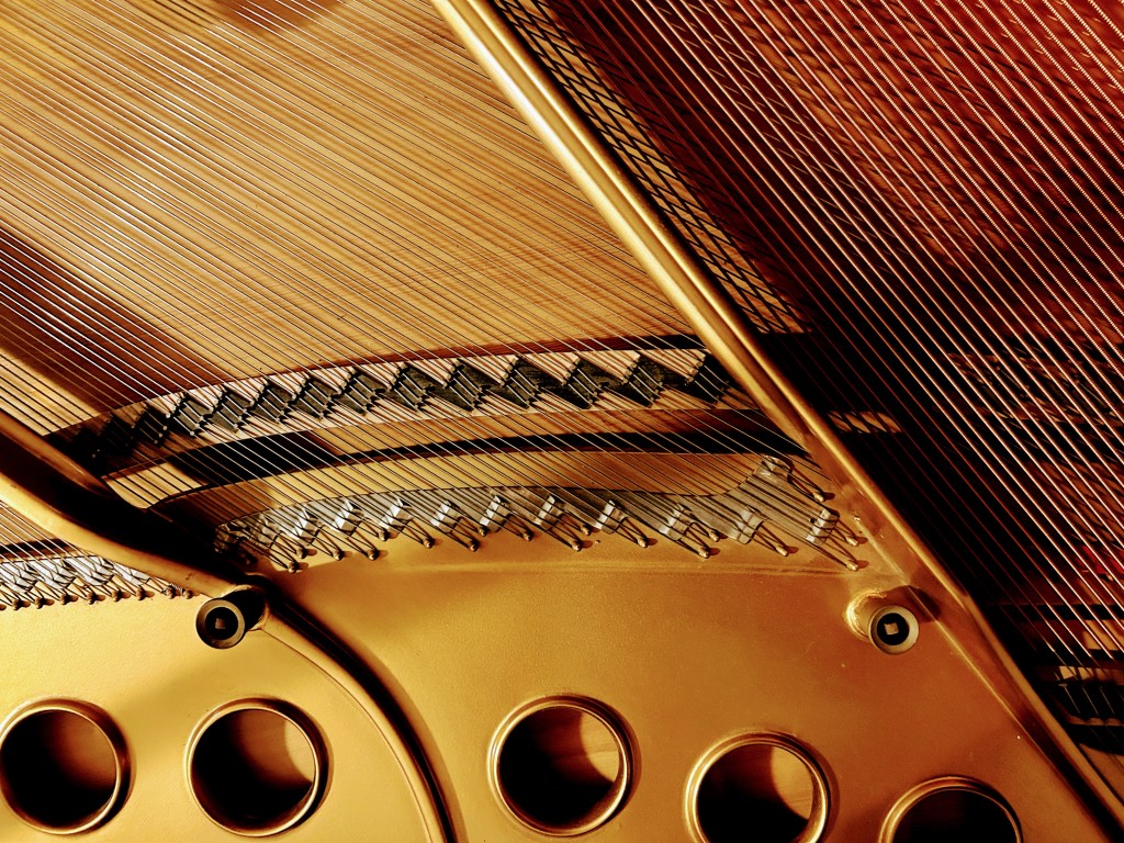grand piano view of inside from above: strings, soundboard, plate